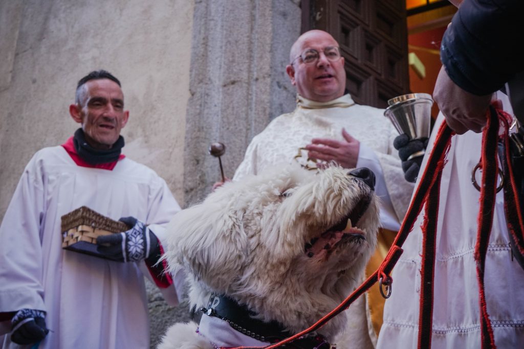 Un perro a punto de ser bendecido en la Iglesia de San Antón. | Foto: Natalia Loizaga