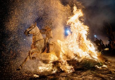 Así se celebra la fiesta del patrón de los animales: San Antón 