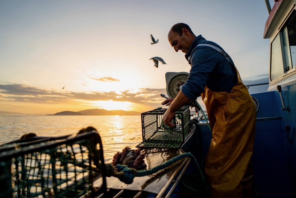 Pescadero captura un pulpo en barco de Bajura