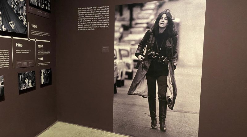 Marisa Flórez, la exposición